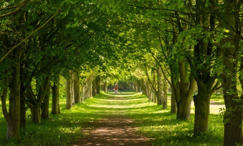 The Lovell Quinta Arboretum, United Kingdom